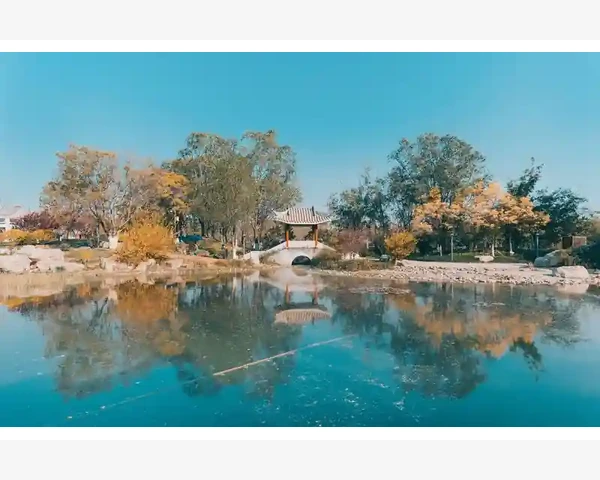 健脾祛湿，好果好菜——中医理论与现代实践