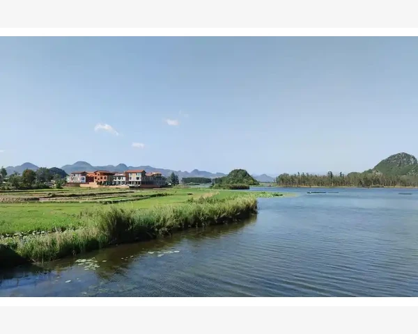 拉肚子拉的水还胃疼该如何治疗？